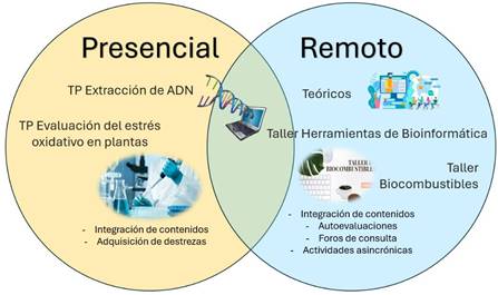 Esquema El modelo híbrido contempla el aprendizaje presencial, donde se desarrolla dos trabajos prácticos que le brindan al estudiante especialmente la integración de los contenidos y la adquisición de destrezas. En el aprendizaje remoto o virtual se imparten las clases teóricas y dos talleres virtuales, aunque uno se conecta con uno de los TP. Las actividades asincrónicas integran los contenidos.