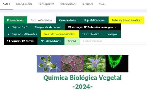 Imagen obtenida de la captura de pantalla del aula virtual de la asignatura Química Biológica Vegetal alojada en el campus virtual de FFyB donde se observan las pestañas con los temas y fechas de dictado de los dos TP presenciales (Rectángulo)